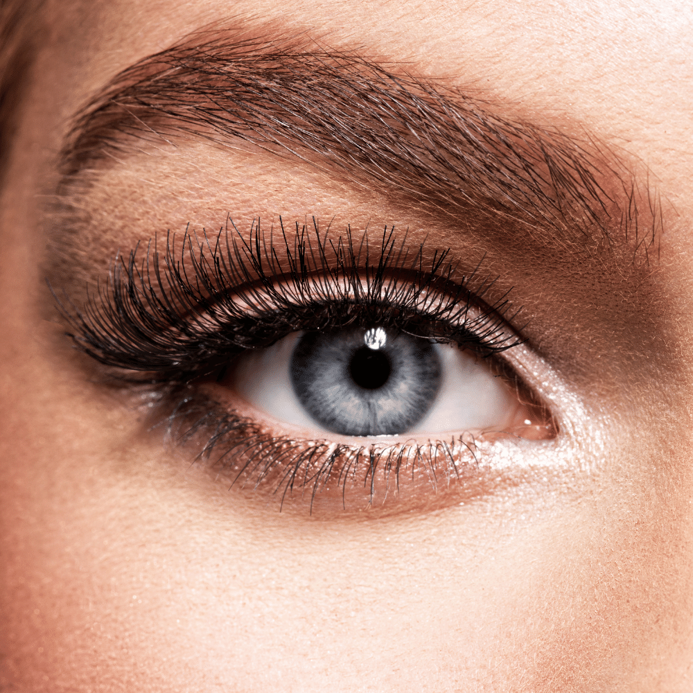 Top Best Brown Mascaras