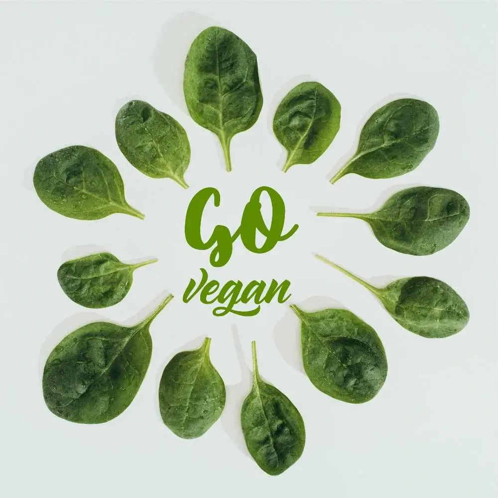 fresh green leaves and go vegan text