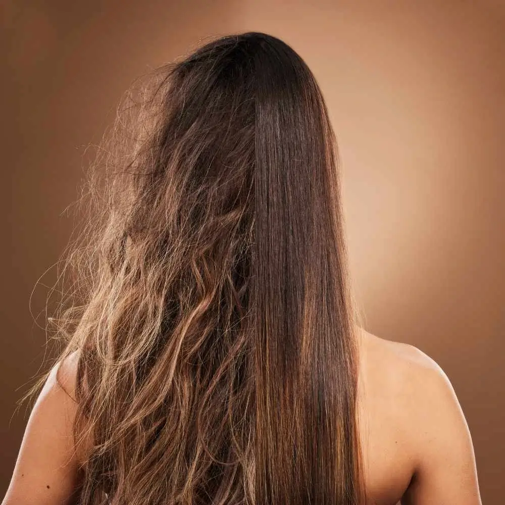 hair of a woman showing contrast between dry hair and conditioned hair