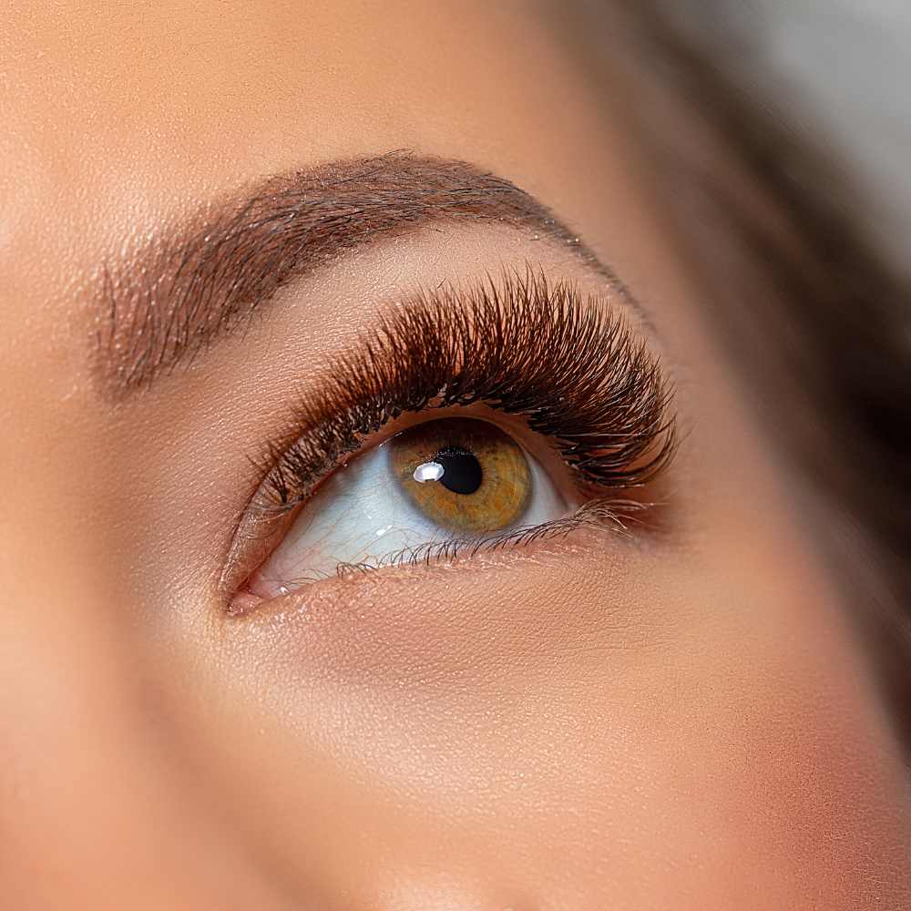 close-up shot of a brown eye with mascara