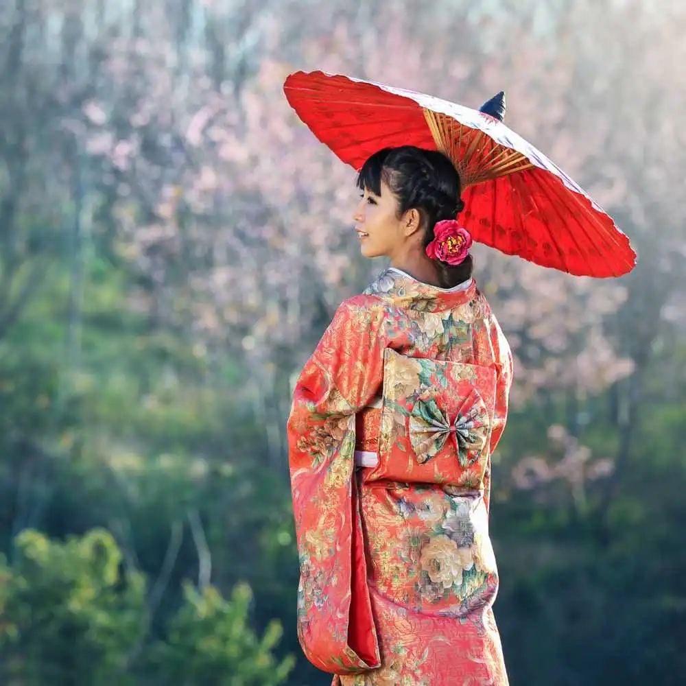 side view portrait of a Japanese woman in Kimono with traditional Japanese umbrella