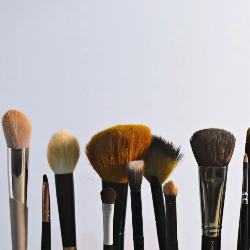 make up brushes