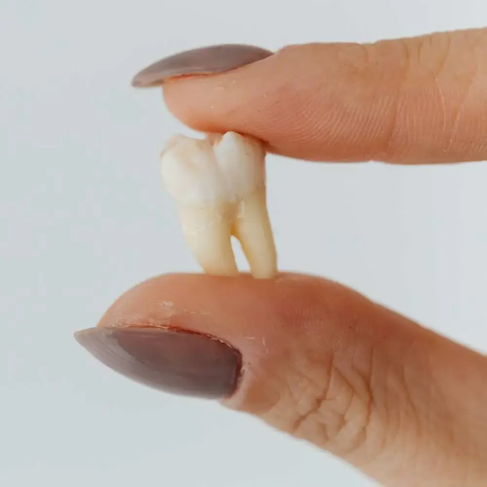 Hand holding intricate teeth earrings