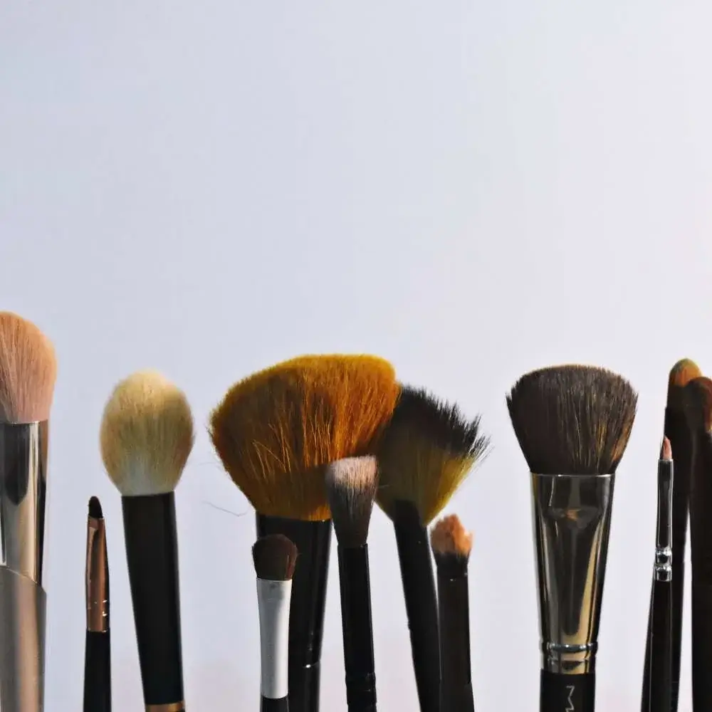 A variety of clean, neatly arranged makeup brushes