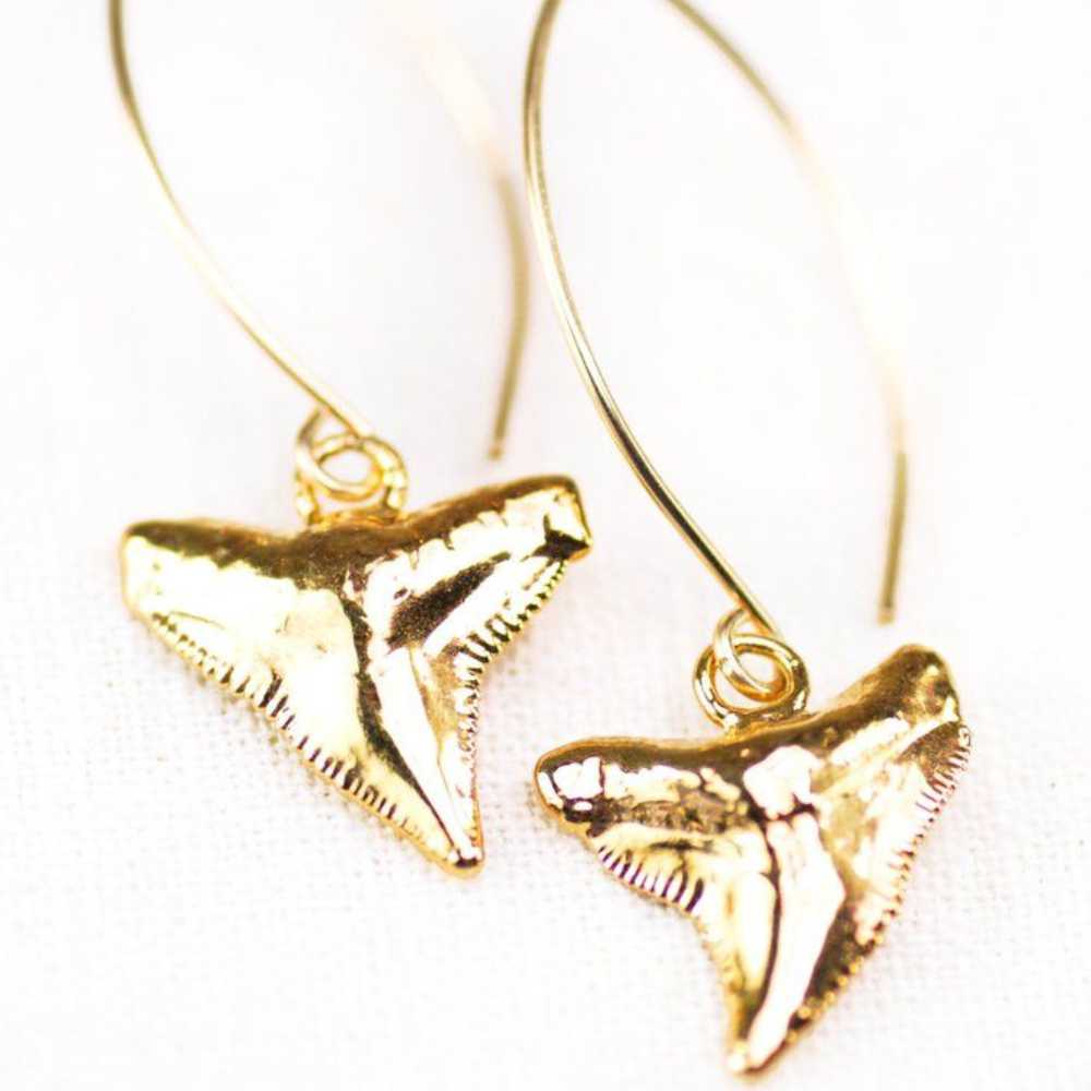 gold shark tooth earrings