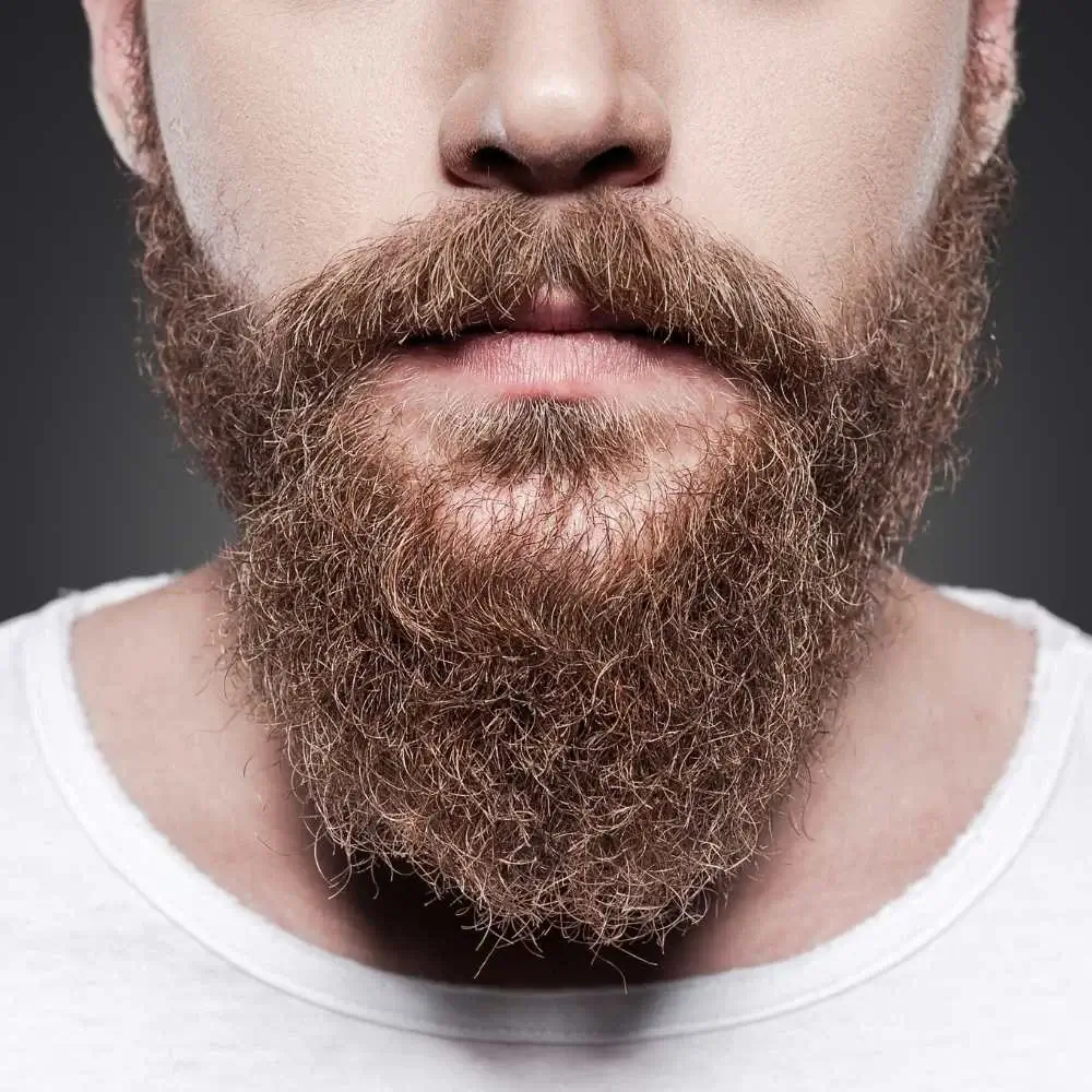 Nourishing best beard conditioner