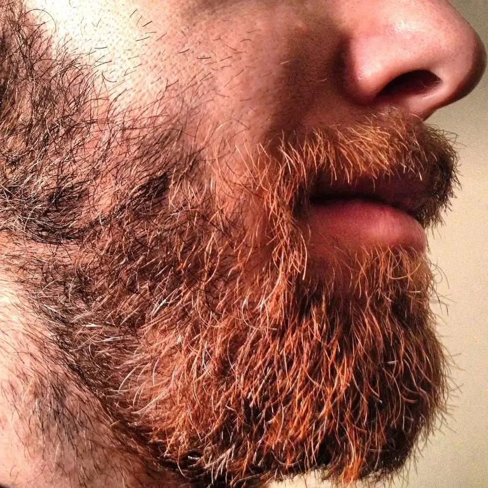 Beard conditioner with natural oils