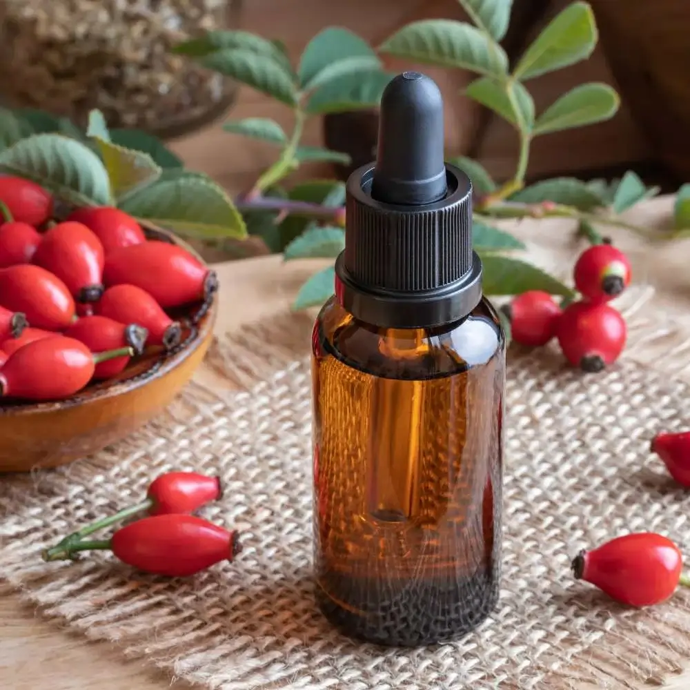 Rosehip oil rejuvenating aging skin