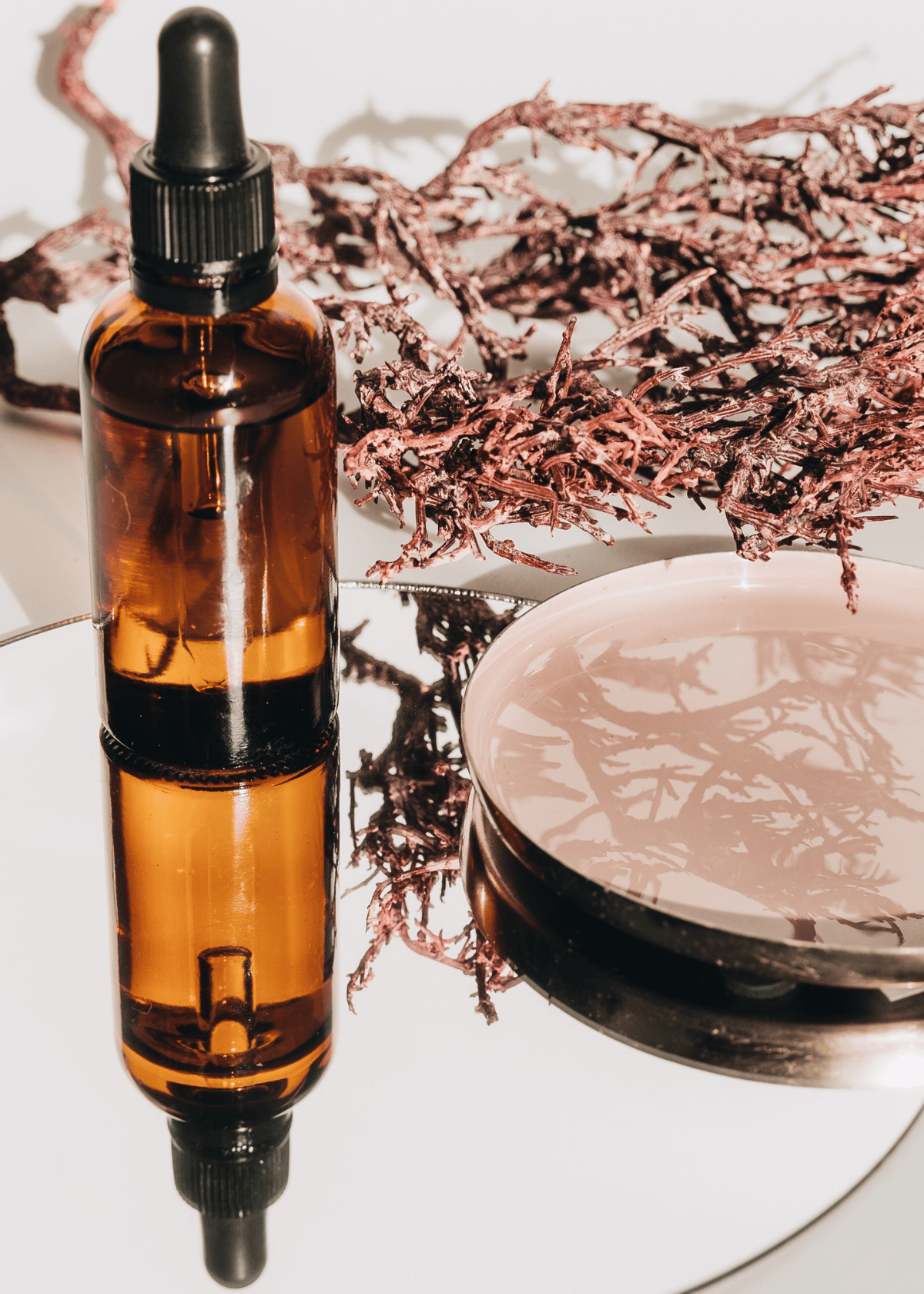 How to Use Face Oil for Dry Skin