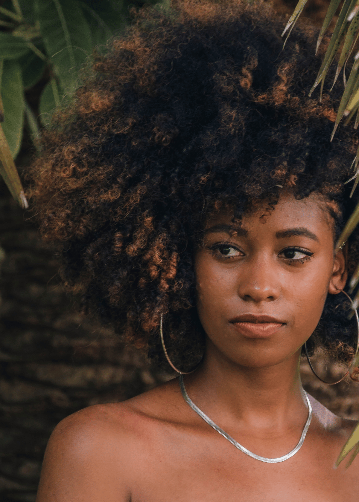 Unlock Your Curls: How to Use Olive and Argan Oils for Natural Hair Care 