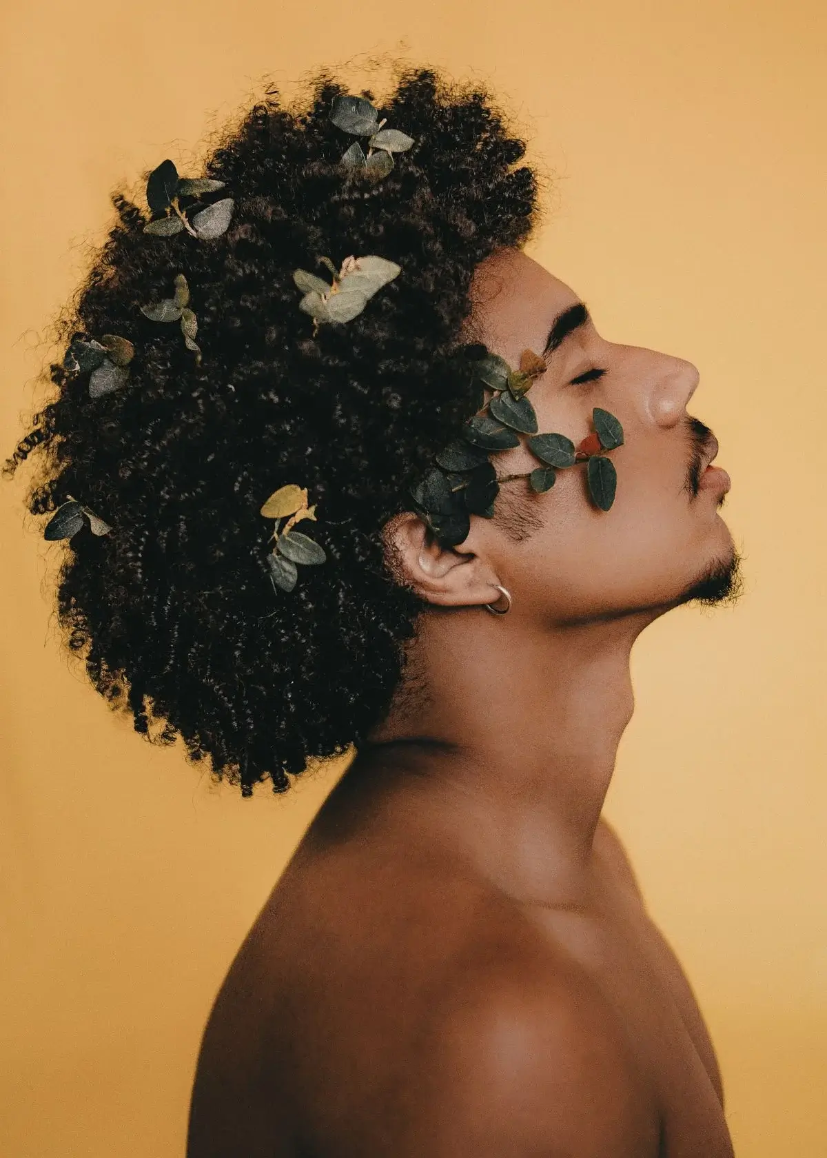 What ingredients should I look for in a shampoo for curly hair men?