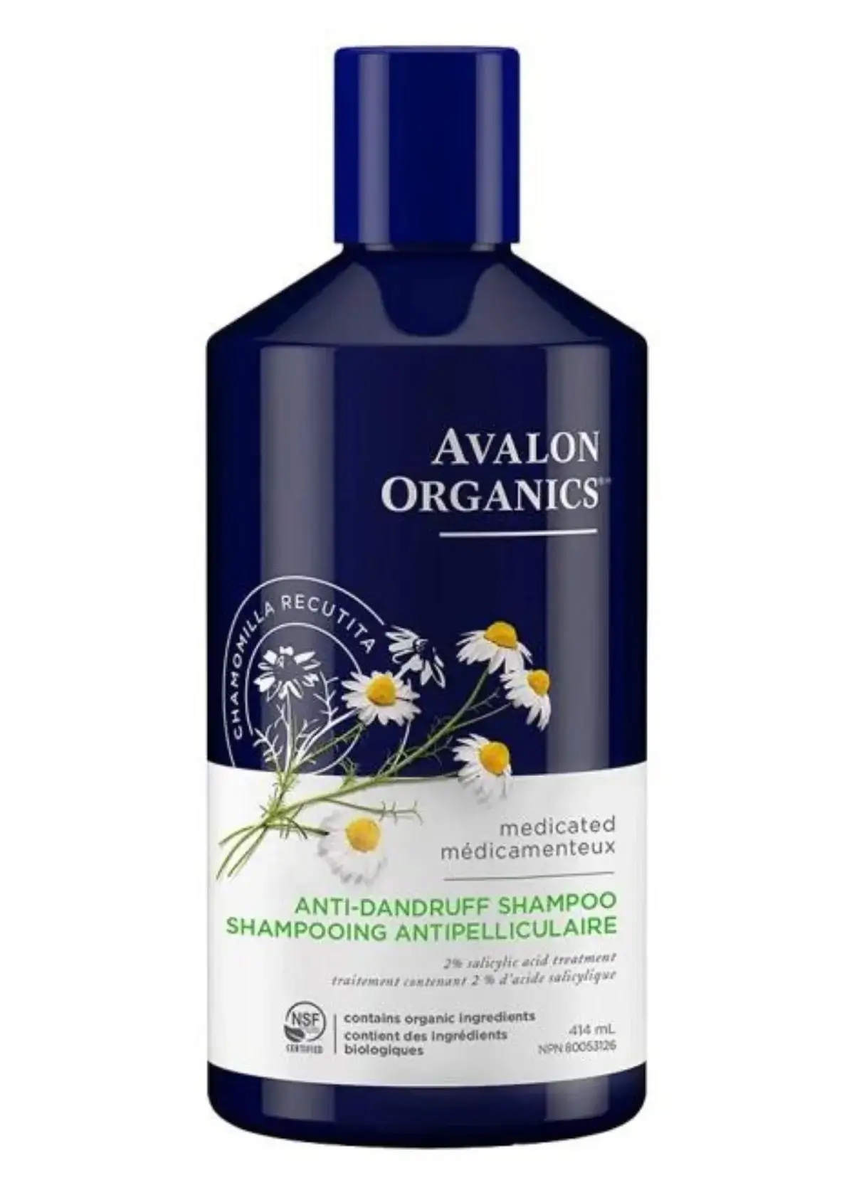 How does the texture and structure of African American hair affect the choice of dandruff shampoo?