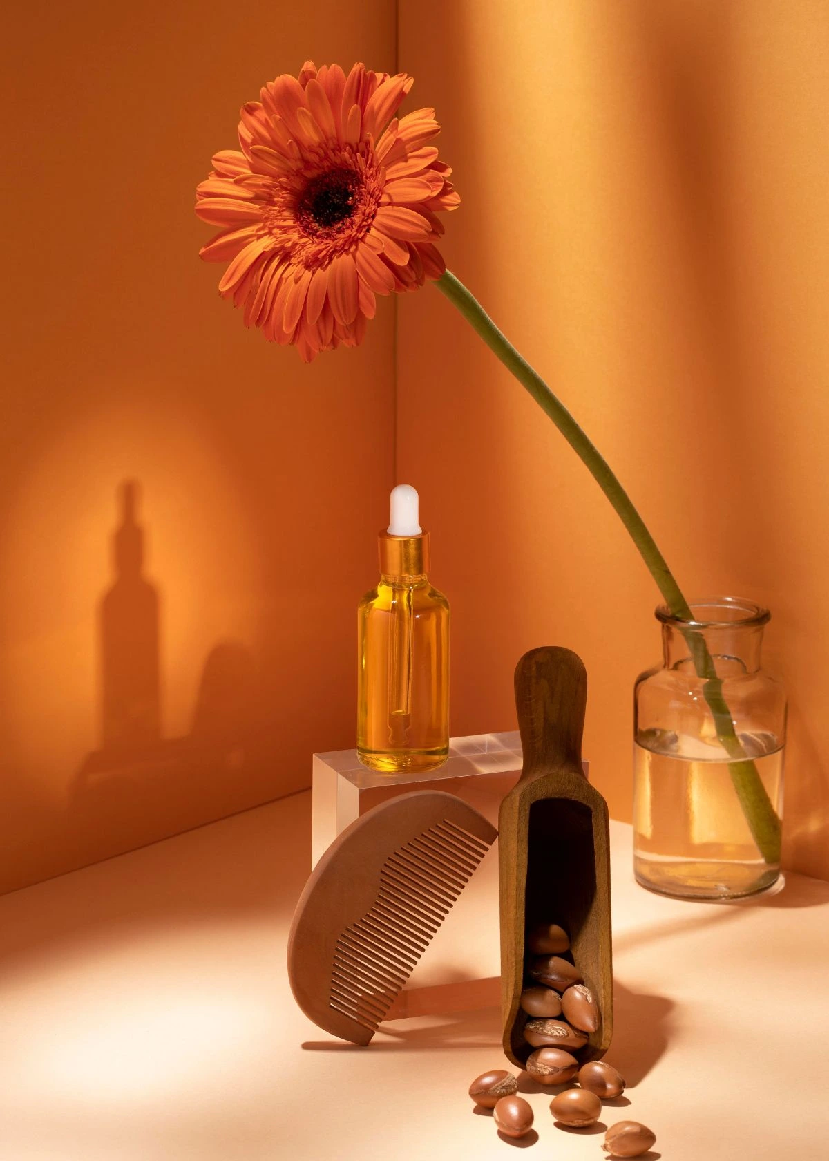 best hair oil for dry hair