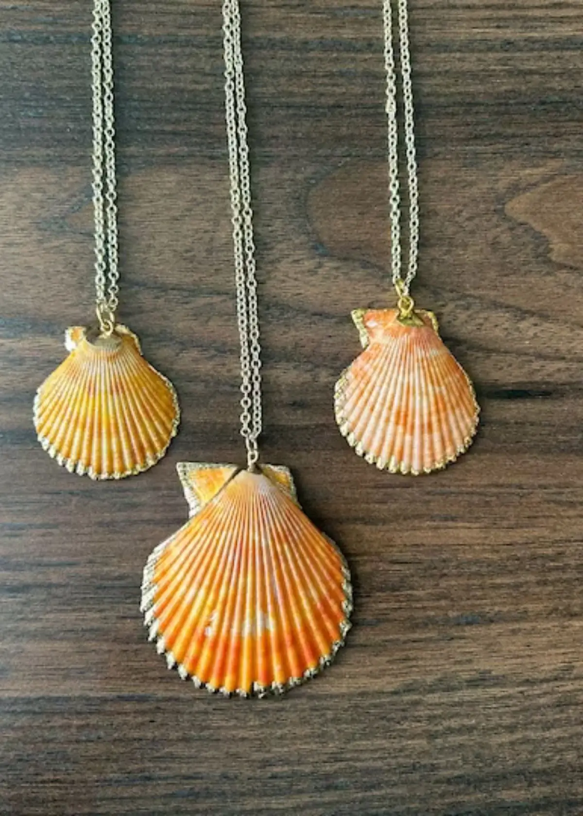 Shell necklace
